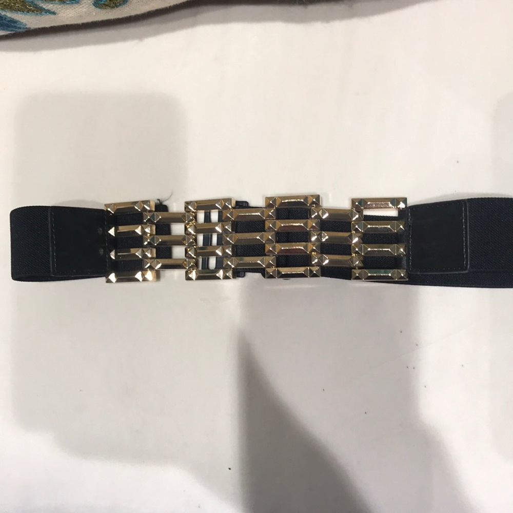 BCBG stretchy belt